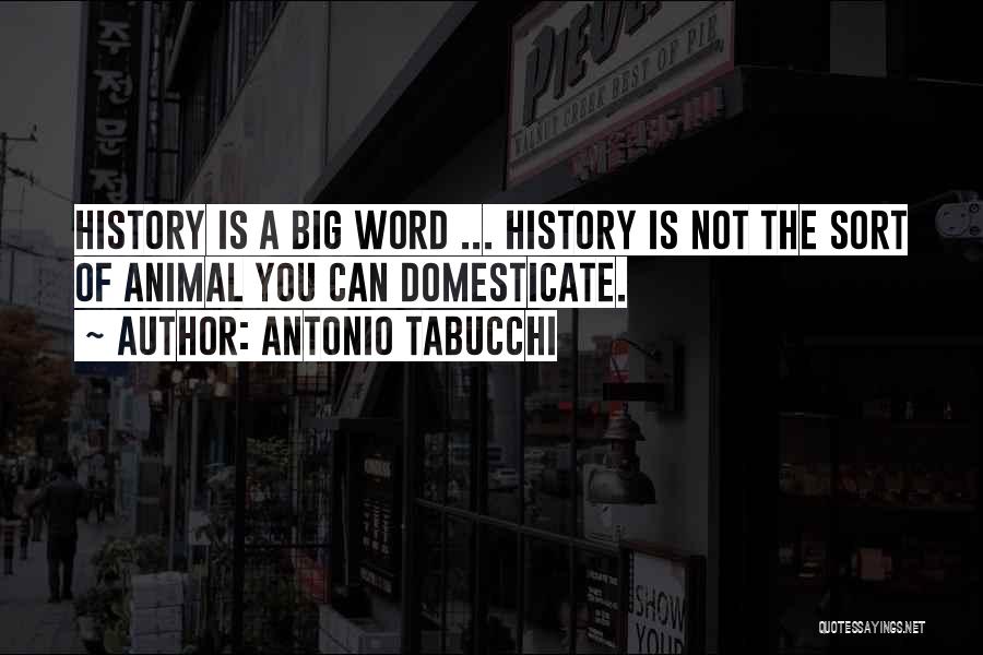 Antonio Tabucchi Quotes: History Is A Big Word ... History Is Not The Sort Of Animal You Can Domesticate.