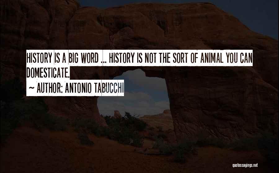 Antonio Tabucchi Quotes: History Is A Big Word ... History Is Not The Sort Of Animal You Can Domesticate.