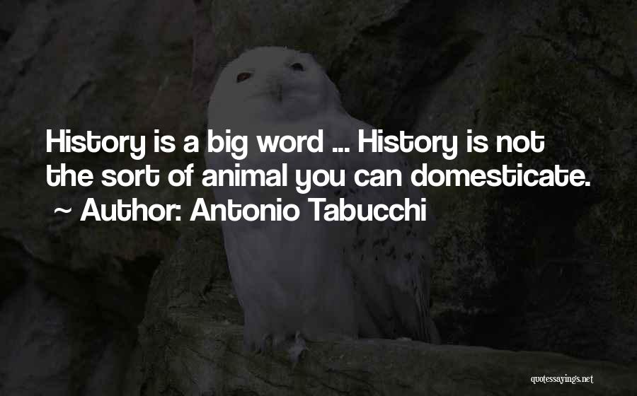 Antonio Tabucchi Quotes: History Is A Big Word ... History Is Not The Sort Of Animal You Can Domesticate.