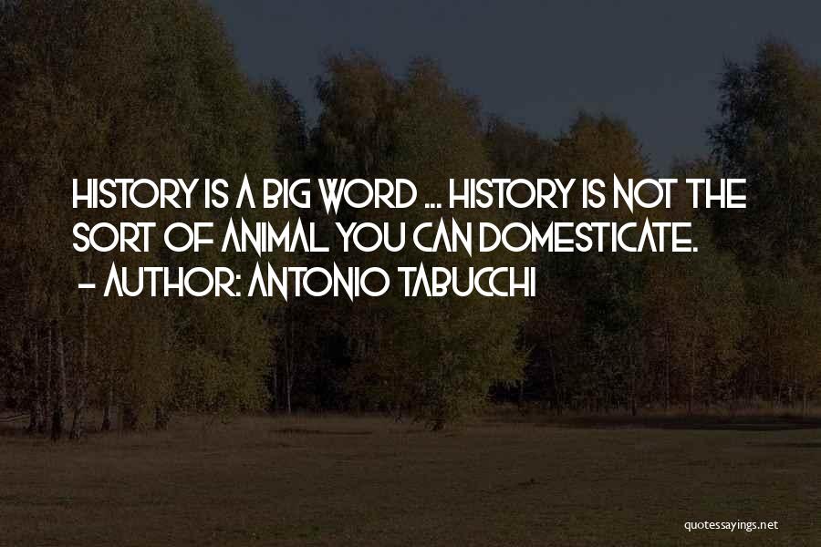 Antonio Tabucchi Quotes: History Is A Big Word ... History Is Not The Sort Of Animal You Can Domesticate.