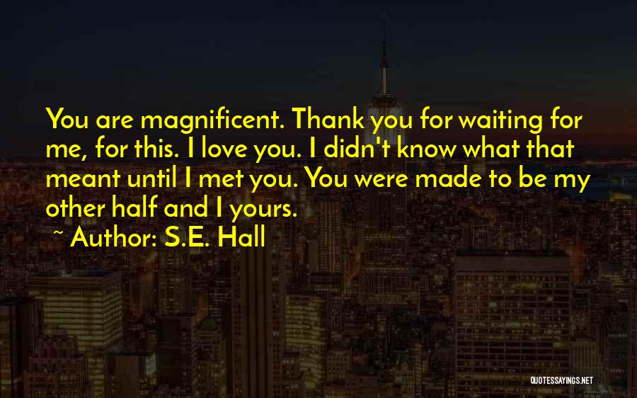 S.E. Hall Quotes: You Are Magnificent. Thank You For Waiting For Me, For This. I Love You. I Didn't Know What That Meant