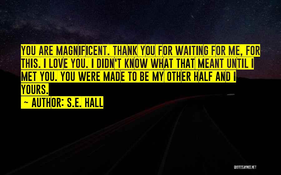 S.E. Hall Quotes: You Are Magnificent. Thank You For Waiting For Me, For This. I Love You. I Didn't Know What That Meant