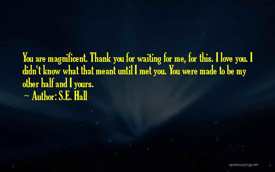 S.E. Hall Quotes: You Are Magnificent. Thank You For Waiting For Me, For This. I Love You. I Didn't Know What That Meant