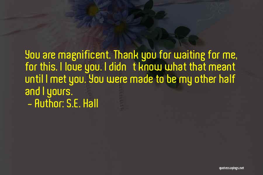 S.E. Hall Quotes: You Are Magnificent. Thank You For Waiting For Me, For This. I Love You. I Didn't Know What That Meant