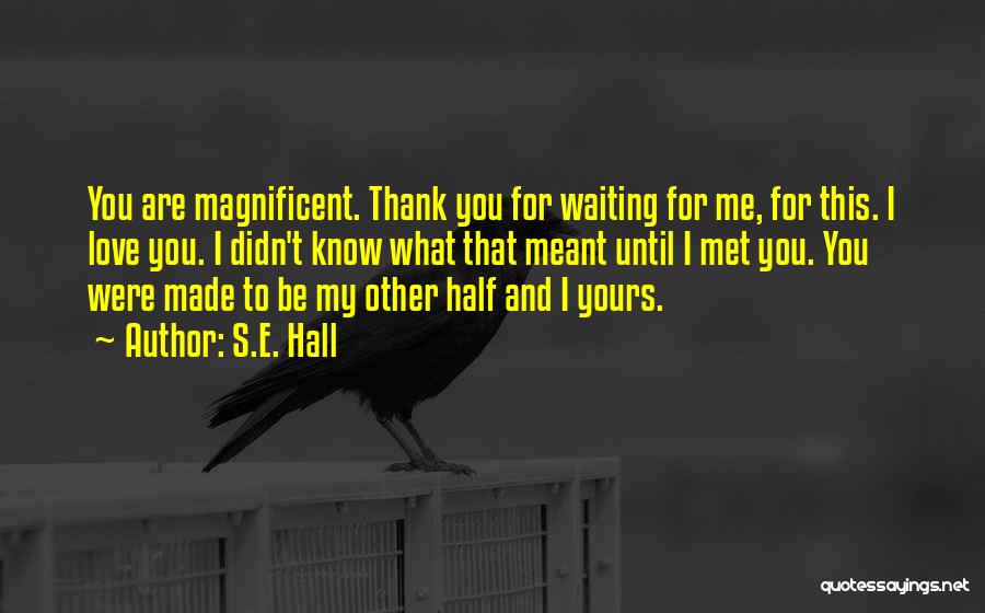 S.E. Hall Quotes: You Are Magnificent. Thank You For Waiting For Me, For This. I Love You. I Didn't Know What That Meant