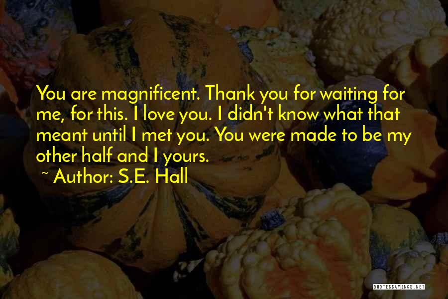 S.E. Hall Quotes: You Are Magnificent. Thank You For Waiting For Me, For This. I Love You. I Didn't Know What That Meant