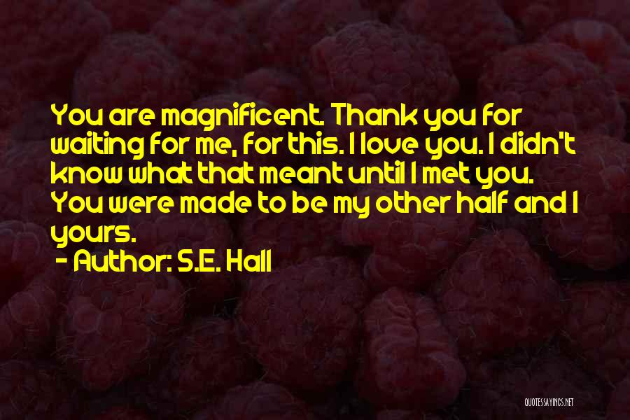 S.E. Hall Quotes: You Are Magnificent. Thank You For Waiting For Me, For This. I Love You. I Didn't Know What That Meant