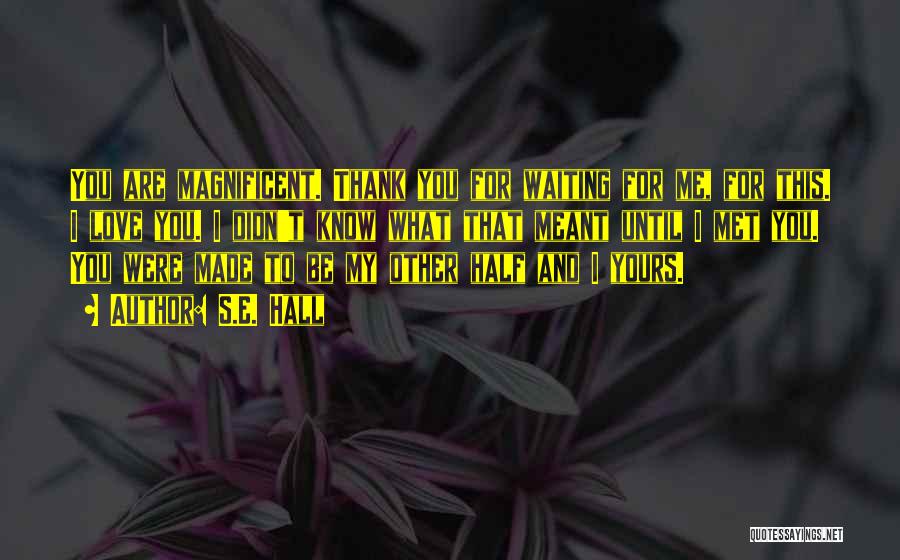 S.E. Hall Quotes: You Are Magnificent. Thank You For Waiting For Me, For This. I Love You. I Didn't Know What That Meant