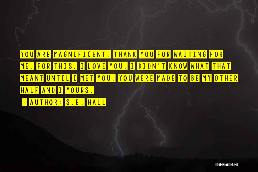 S.E. Hall Quotes: You Are Magnificent. Thank You For Waiting For Me, For This. I Love You. I Didn't Know What That Meant