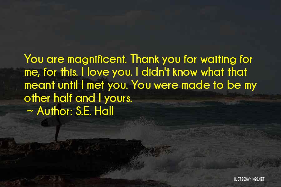 S.E. Hall Quotes: You Are Magnificent. Thank You For Waiting For Me, For This. I Love You. I Didn't Know What That Meant
