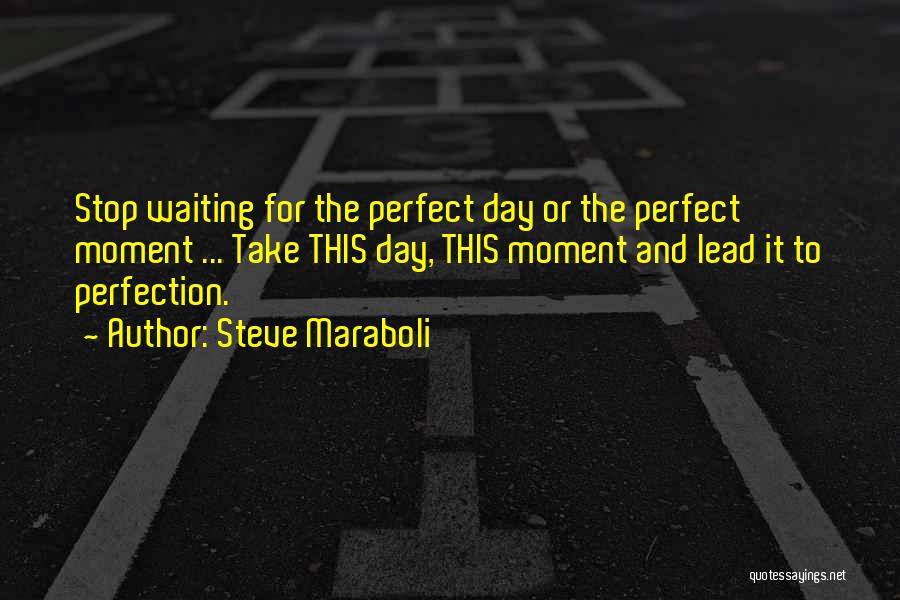 Steve Maraboli Quotes: Stop Waiting For The Perfect Day Or The Perfect Moment ... Take This Day, This Moment And Lead It To