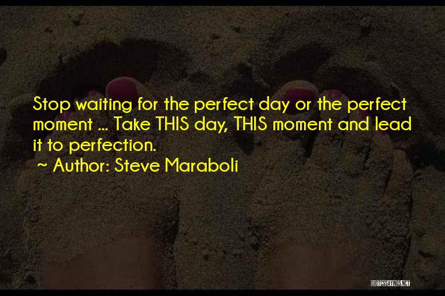 Steve Maraboli Quotes: Stop Waiting For The Perfect Day Or The Perfect Moment ... Take This Day, This Moment And Lead It To