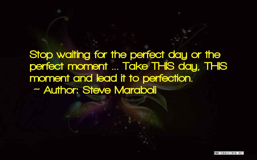 Steve Maraboli Quotes: Stop Waiting For The Perfect Day Or The Perfect Moment ... Take This Day, This Moment And Lead It To