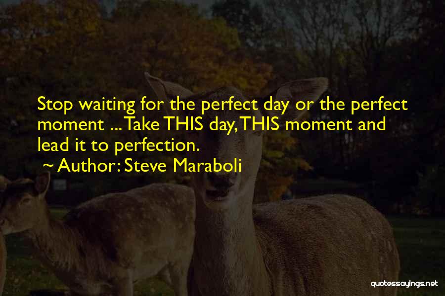 Steve Maraboli Quotes: Stop Waiting For The Perfect Day Or The Perfect Moment ... Take This Day, This Moment And Lead It To