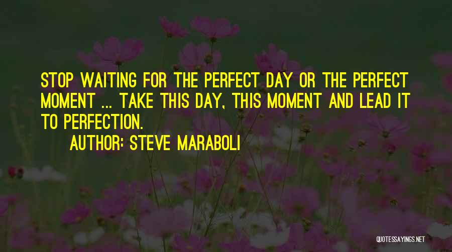 Steve Maraboli Quotes: Stop Waiting For The Perfect Day Or The Perfect Moment ... Take This Day, This Moment And Lead It To
