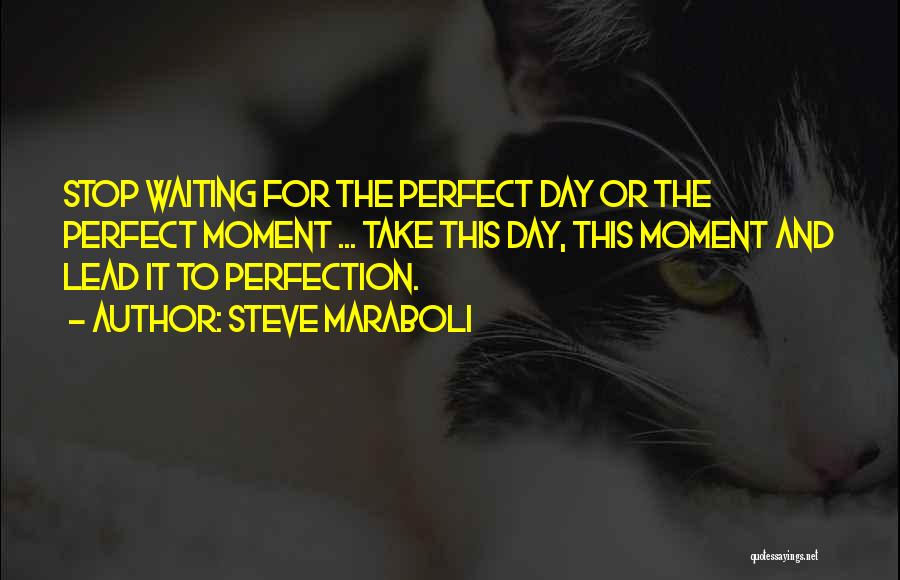 Steve Maraboli Quotes: Stop Waiting For The Perfect Day Or The Perfect Moment ... Take This Day, This Moment And Lead It To