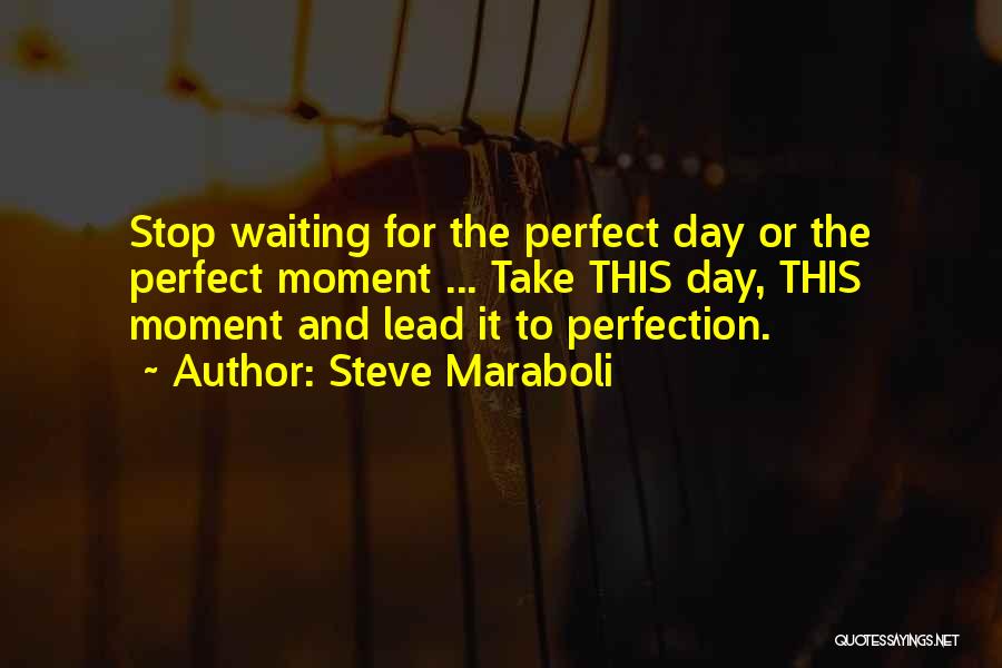 Steve Maraboli Quotes: Stop Waiting For The Perfect Day Or The Perfect Moment ... Take This Day, This Moment And Lead It To