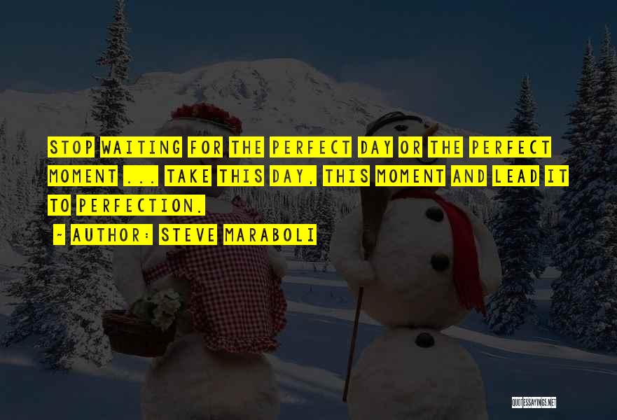 Steve Maraboli Quotes: Stop Waiting For The Perfect Day Or The Perfect Moment ... Take This Day, This Moment And Lead It To