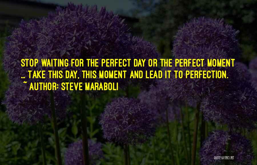 Steve Maraboli Quotes: Stop Waiting For The Perfect Day Or The Perfect Moment ... Take This Day, This Moment And Lead It To