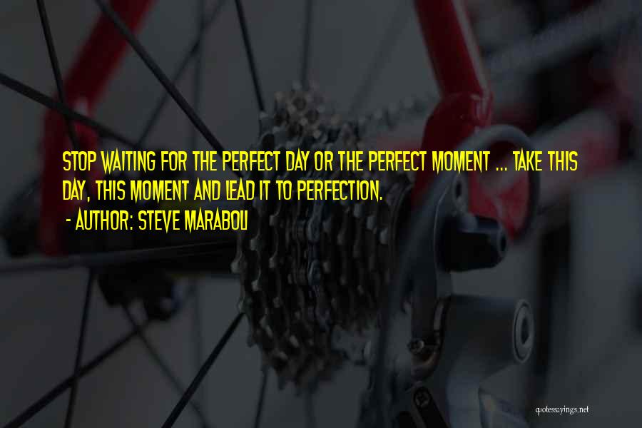 Steve Maraboli Quotes: Stop Waiting For The Perfect Day Or The Perfect Moment ... Take This Day, This Moment And Lead It To