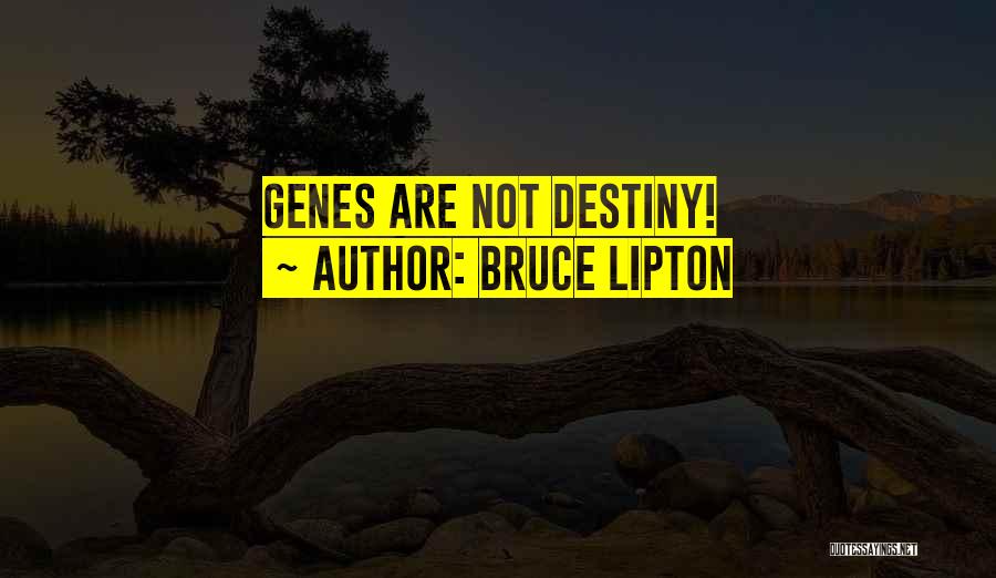 Bruce Lipton Quotes: Genes Are Not Destiny!