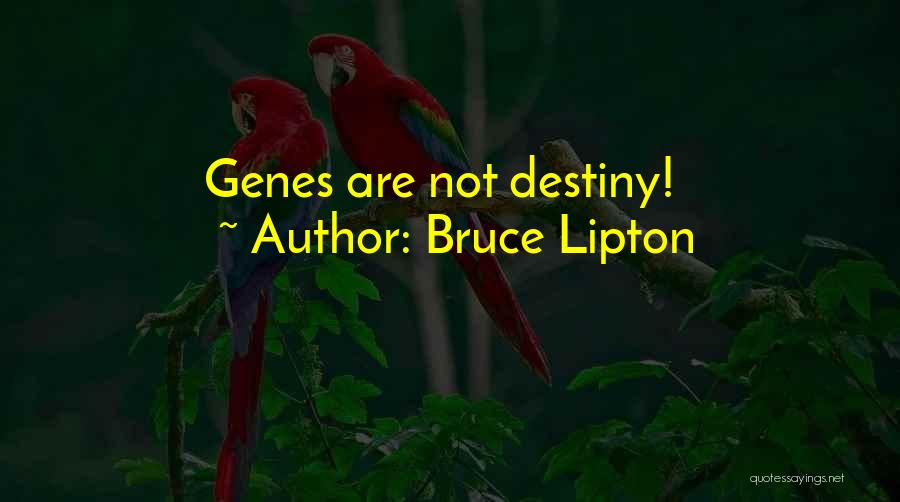 Bruce Lipton Quotes: Genes Are Not Destiny!