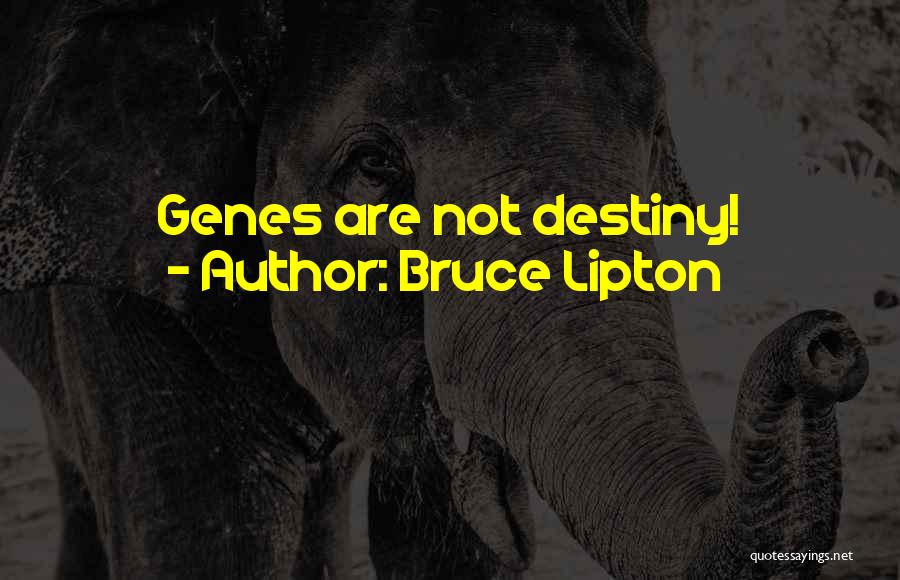 Bruce Lipton Quotes: Genes Are Not Destiny!