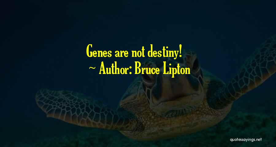 Bruce Lipton Quotes: Genes Are Not Destiny!