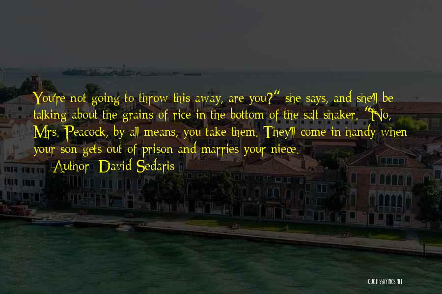 David Sedaris Quotes: You're Not Going To Throw This Away, Are You? She Says, And She'll Be Talking About The Grains Of Rice