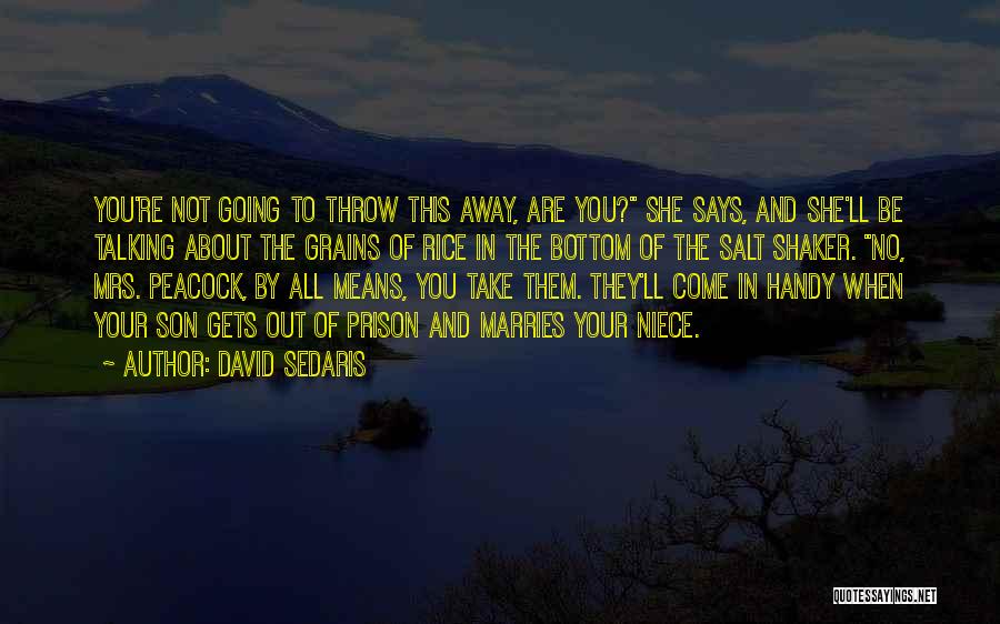 David Sedaris Quotes: You're Not Going To Throw This Away, Are You? She Says, And She'll Be Talking About The Grains Of Rice