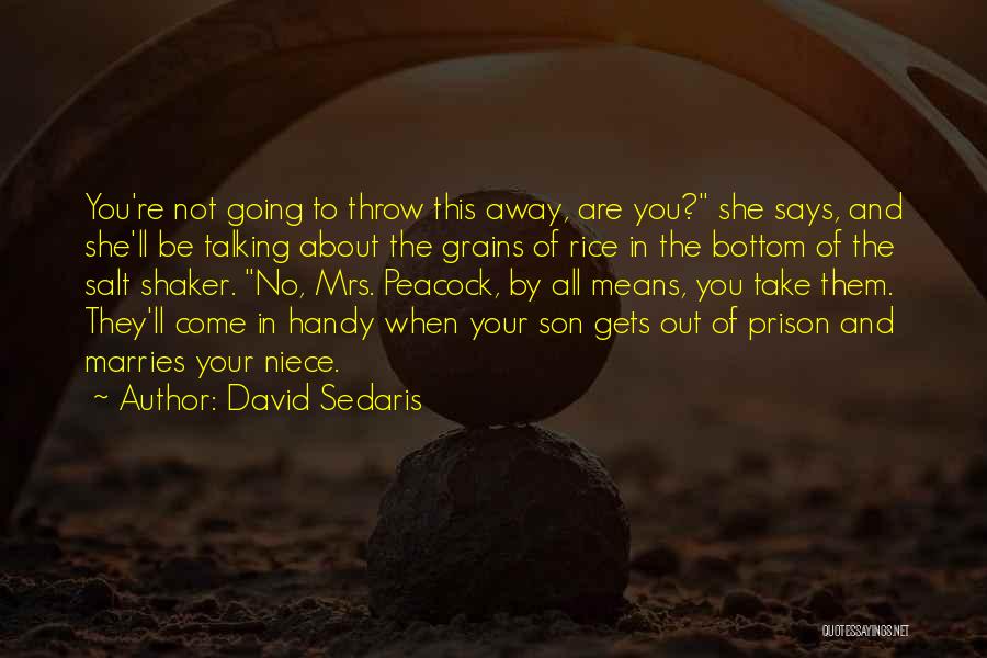 David Sedaris Quotes: You're Not Going To Throw This Away, Are You? She Says, And She'll Be Talking About The Grains Of Rice