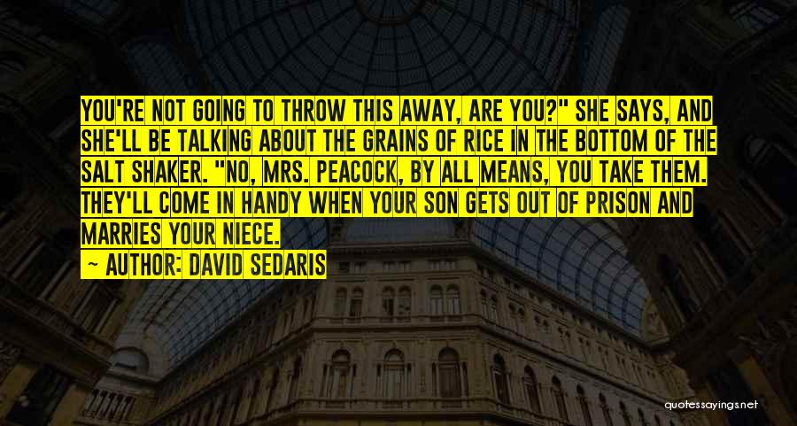 David Sedaris Quotes: You're Not Going To Throw This Away, Are You? She Says, And She'll Be Talking About The Grains Of Rice