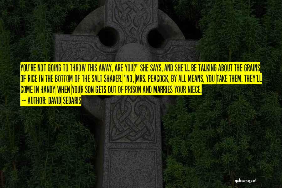 David Sedaris Quotes: You're Not Going To Throw This Away, Are You? She Says, And She'll Be Talking About The Grains Of Rice
