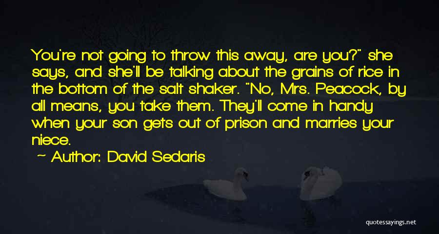 David Sedaris Quotes: You're Not Going To Throw This Away, Are You? She Says, And She'll Be Talking About The Grains Of Rice