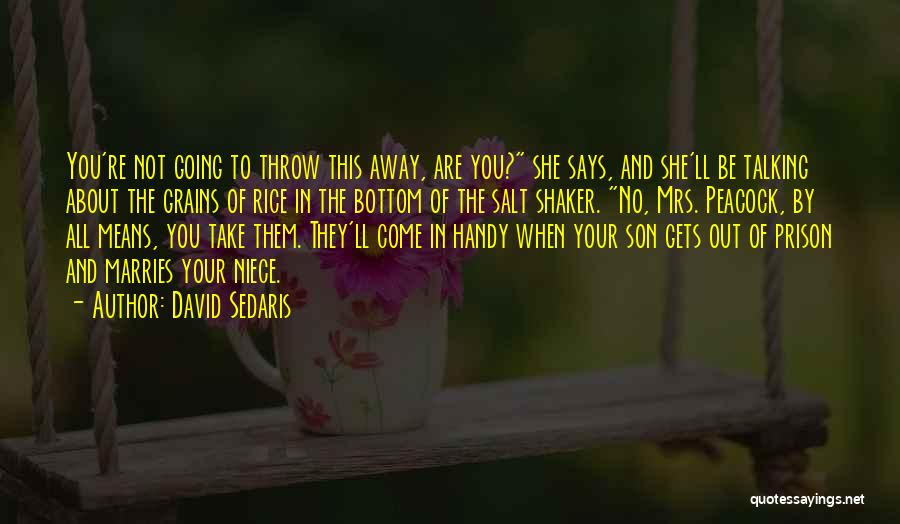 David Sedaris Quotes: You're Not Going To Throw This Away, Are You? She Says, And She'll Be Talking About The Grains Of Rice