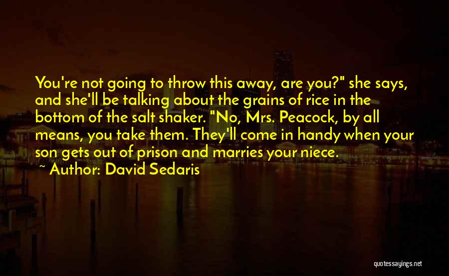 David Sedaris Quotes: You're Not Going To Throw This Away, Are You? She Says, And She'll Be Talking About The Grains Of Rice