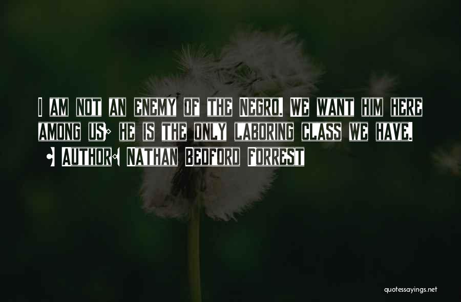 Nathan Bedford Forrest Quotes: I Am Not An Enemy Of The Negro. We Want Him Here Among Us; He Is The Only Laboring Class