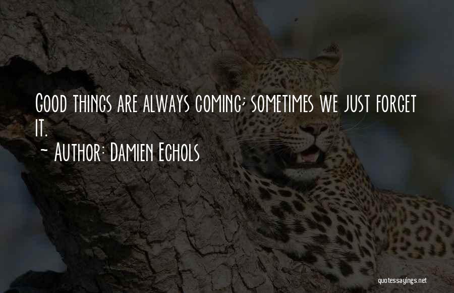 Damien Echols Quotes: Good Things Are Always Coming; Sometimes We Just Forget It.