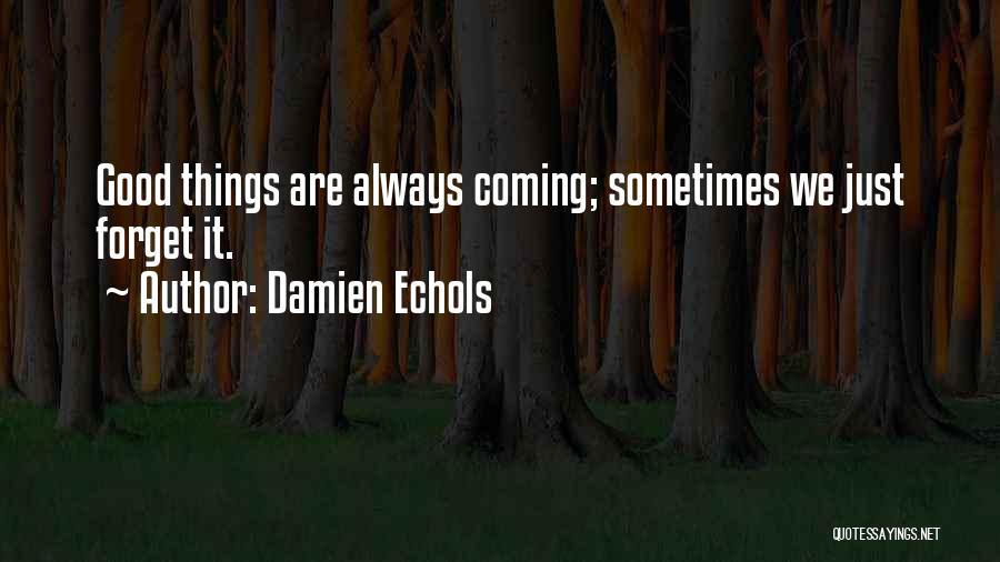 Damien Echols Quotes: Good Things Are Always Coming; Sometimes We Just Forget It.