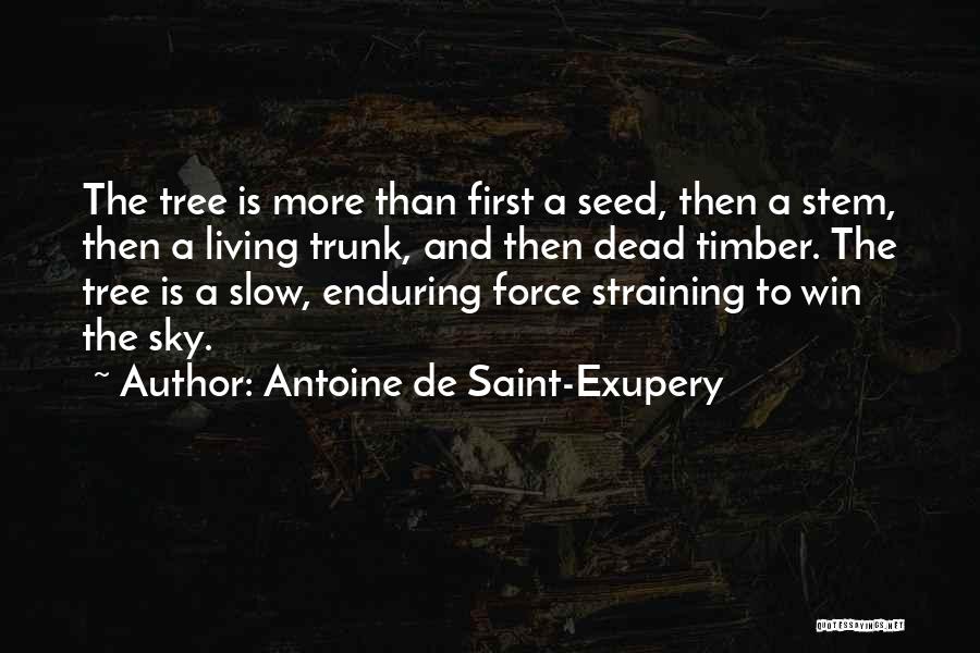 Antoine De Saint-Exupery Quotes: The Tree Is More Than First A Seed, Then A Stem, Then A Living Trunk, And Then Dead Timber. The