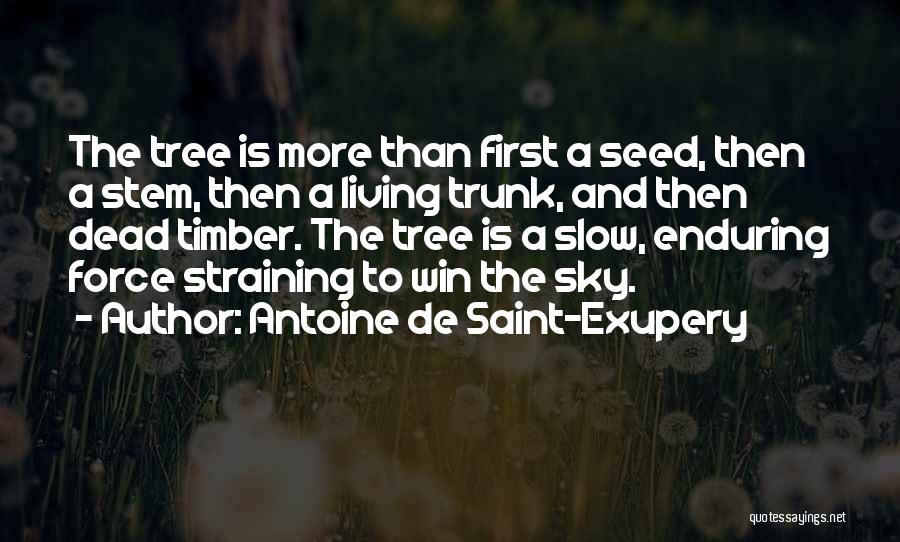 Antoine De Saint-Exupery Quotes: The Tree Is More Than First A Seed, Then A Stem, Then A Living Trunk, And Then Dead Timber. The