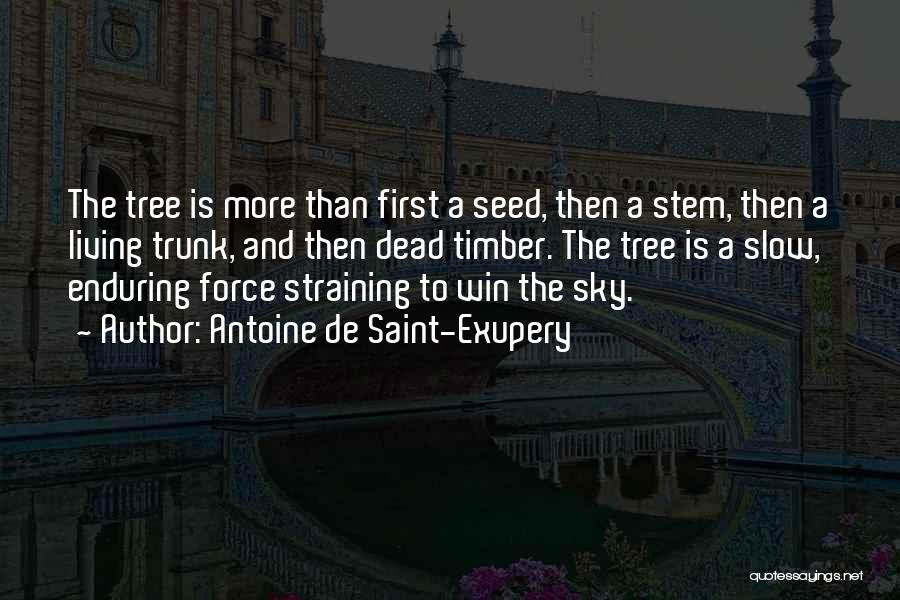 Antoine De Saint-Exupery Quotes: The Tree Is More Than First A Seed, Then A Stem, Then A Living Trunk, And Then Dead Timber. The