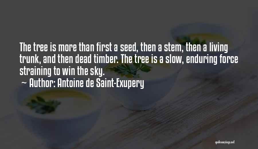 Antoine De Saint-Exupery Quotes: The Tree Is More Than First A Seed, Then A Stem, Then A Living Trunk, And Then Dead Timber. The