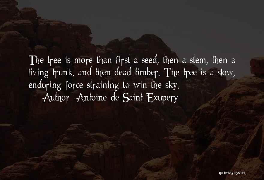 Antoine De Saint-Exupery Quotes: The Tree Is More Than First A Seed, Then A Stem, Then A Living Trunk, And Then Dead Timber. The