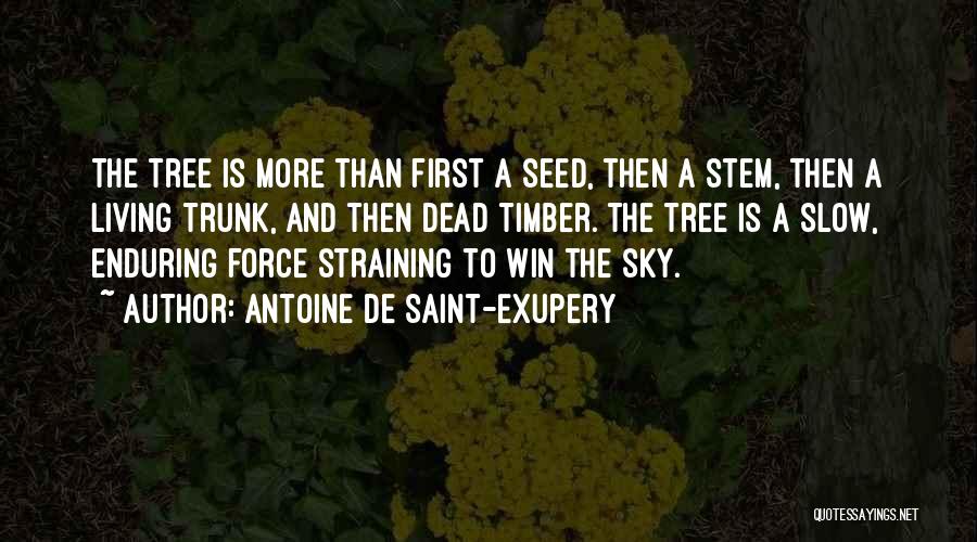 Antoine De Saint-Exupery Quotes: The Tree Is More Than First A Seed, Then A Stem, Then A Living Trunk, And Then Dead Timber. The