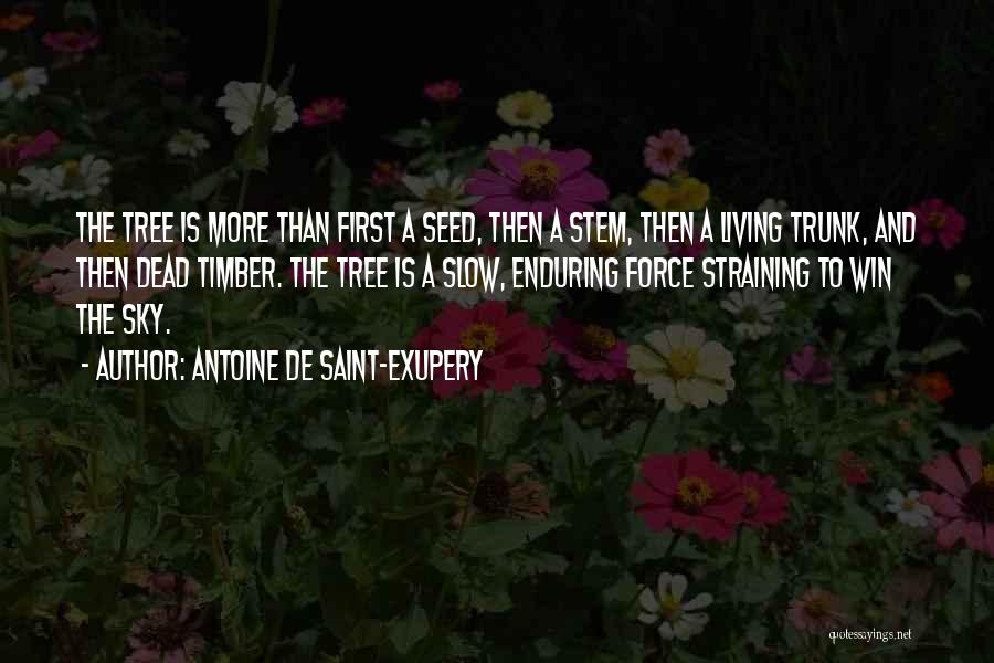 Antoine De Saint-Exupery Quotes: The Tree Is More Than First A Seed, Then A Stem, Then A Living Trunk, And Then Dead Timber. The