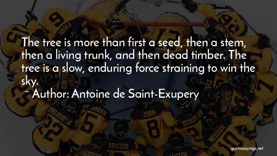 Antoine De Saint-Exupery Quotes: The Tree Is More Than First A Seed, Then A Stem, Then A Living Trunk, And Then Dead Timber. The