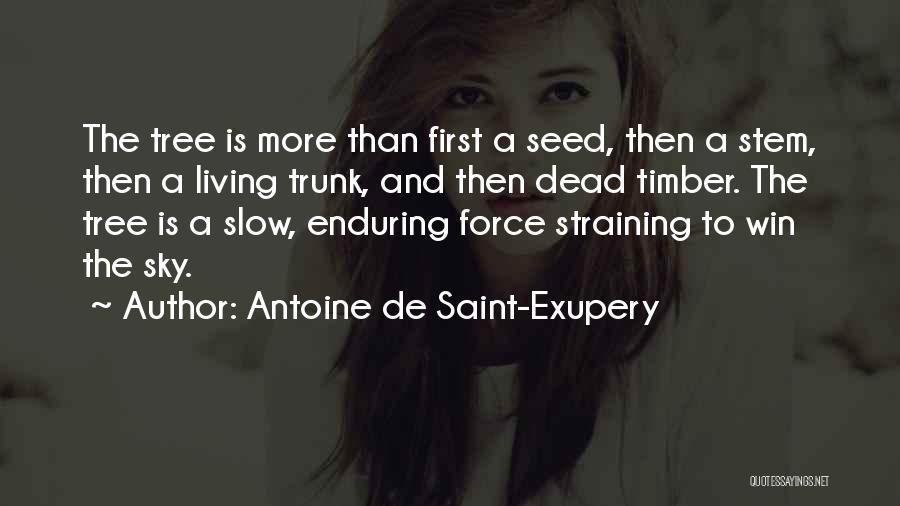 Antoine De Saint-Exupery Quotes: The Tree Is More Than First A Seed, Then A Stem, Then A Living Trunk, And Then Dead Timber. The