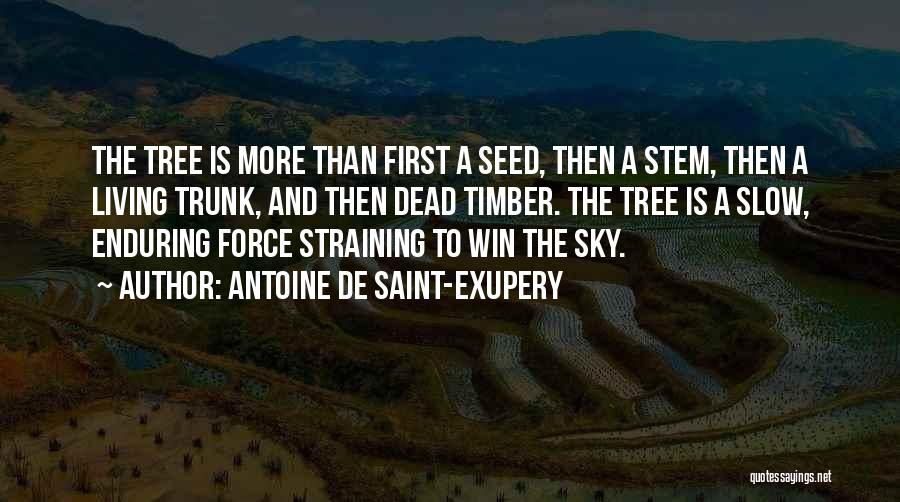 Antoine De Saint-Exupery Quotes: The Tree Is More Than First A Seed, Then A Stem, Then A Living Trunk, And Then Dead Timber. The