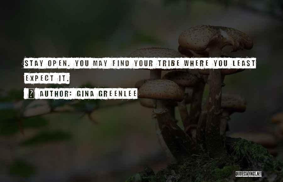 Gina Greenlee Quotes: Stay Open. You May Find Your Tribe Where You Least Expect It.